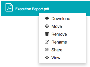 Right-clicking a file as an owner - context menu