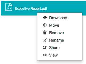 Right-clicking a file as an owner - context menu