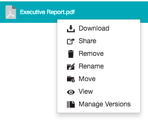 Right-clicking a file as an owner - context menu