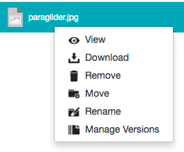 Right-clicking a file as a collaborator with Manage permissions - context menu
