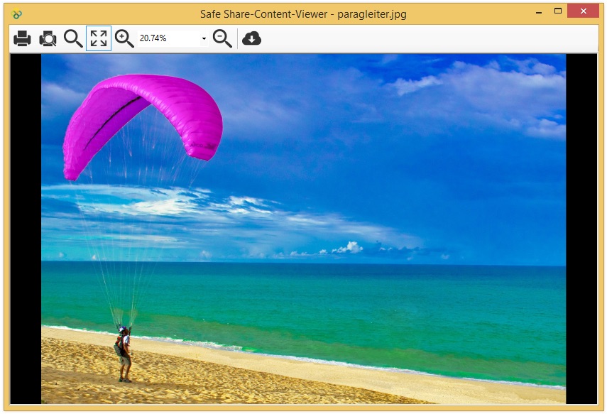 Content-Viewer für Bilddateien in Safe Share for Windows