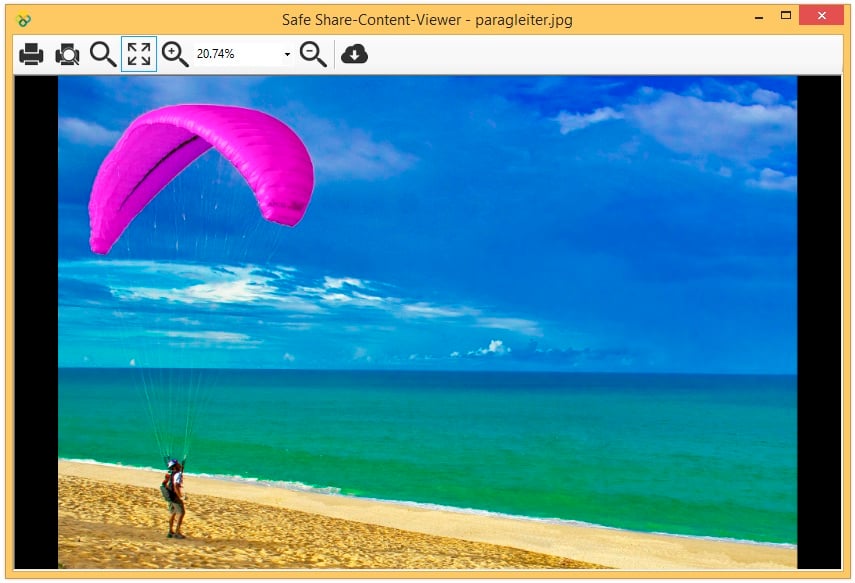 Content-Viewer für Bilddateien in Safe Share for Windows