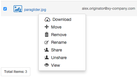 Right-clicking a shared file as an owner - context menu