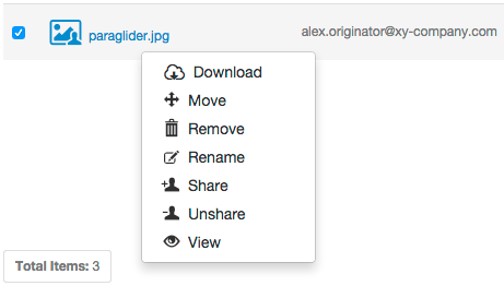 Right-clicking a shared file as an owner - context menu