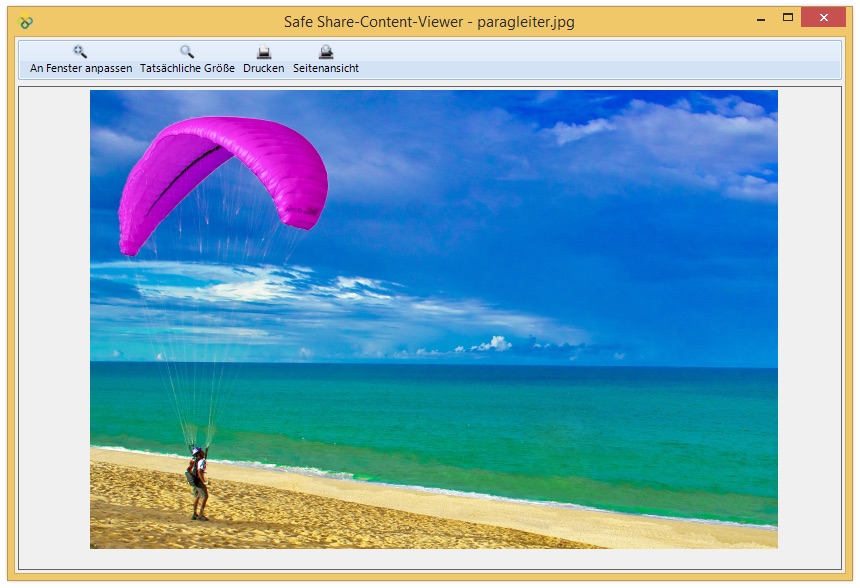 Content-Viewer für Bilddateien von Safe Share for Windows