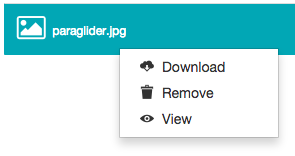 Right-clicking a file as a collaborator with restrictive permissions - context menu