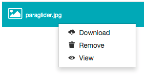 Right-clicking a file as a collaborator - context menu