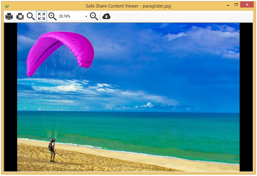 SafeShare for Windows' content viewer for image files