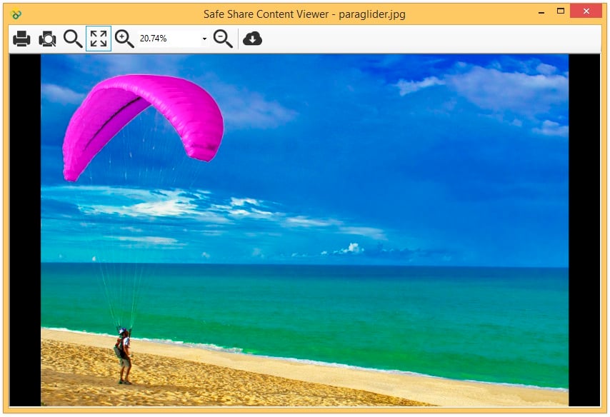 SafeShare for Windows' content viewer for image files
