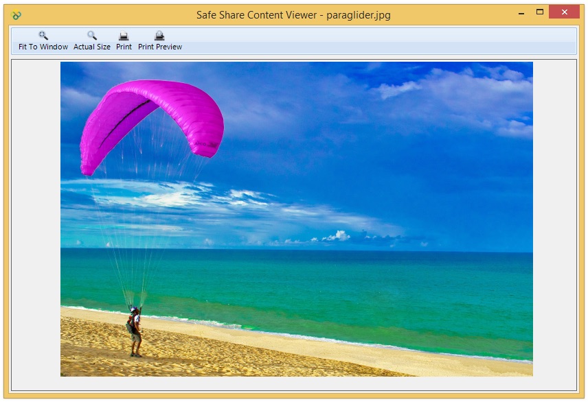 Safe Share for Windows' content viewer for image files