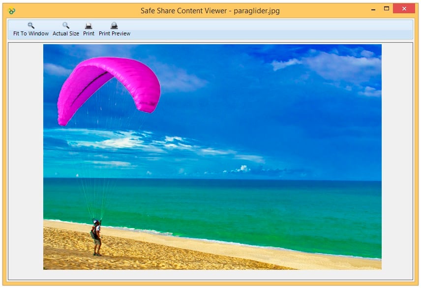 Safe Share for Windows' content viewer for image files
