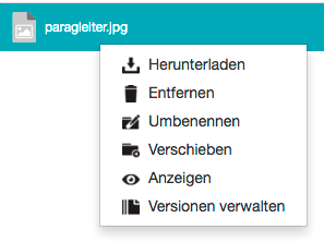 Rechtsklick auf Datei als Mitwirkender mit Änderungs-Berechtigung - Kontextmenü