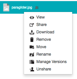 Right-clicking a shared file as an owner - context menu