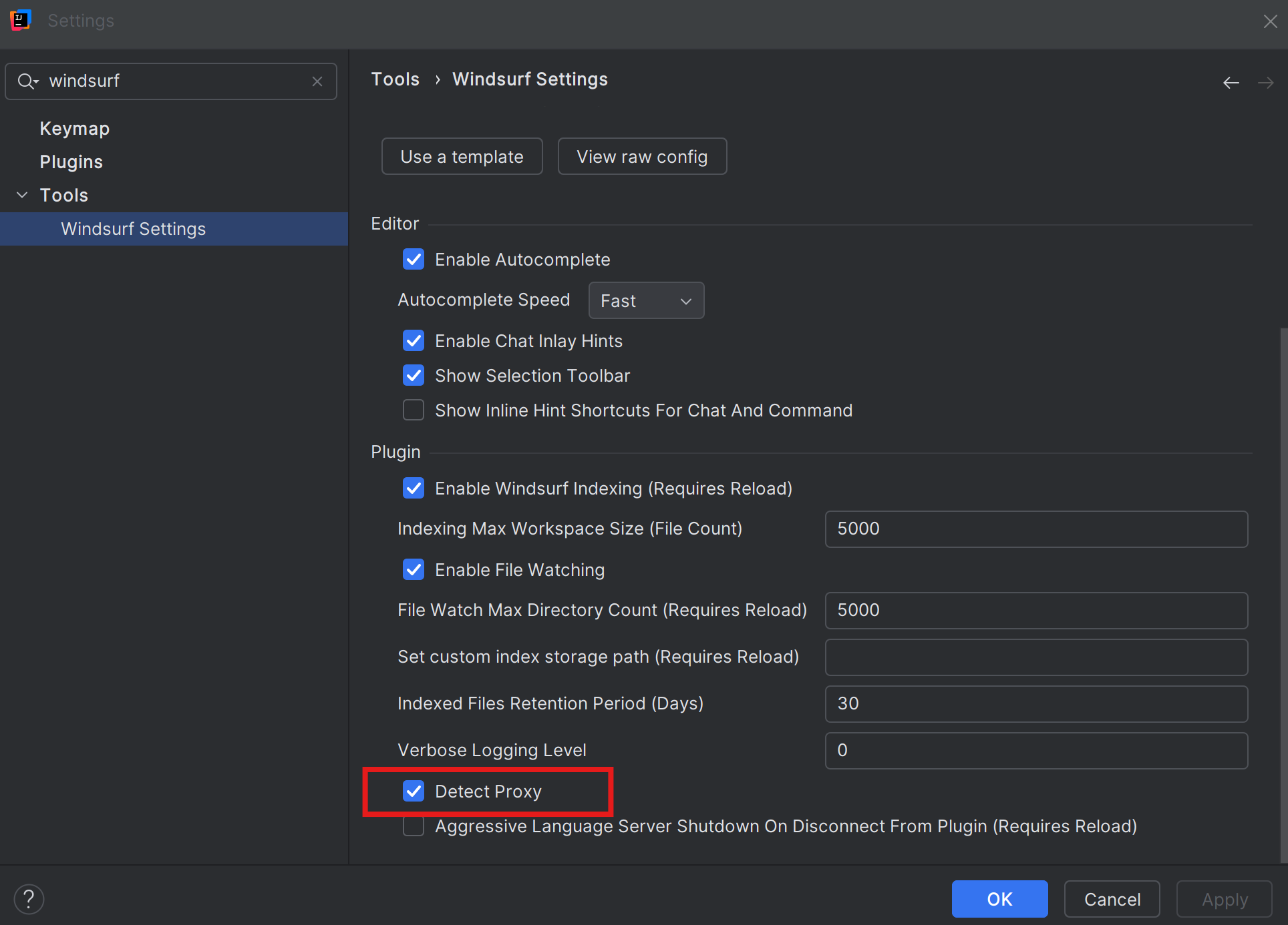 Windsurf Proxy Detection Settings
