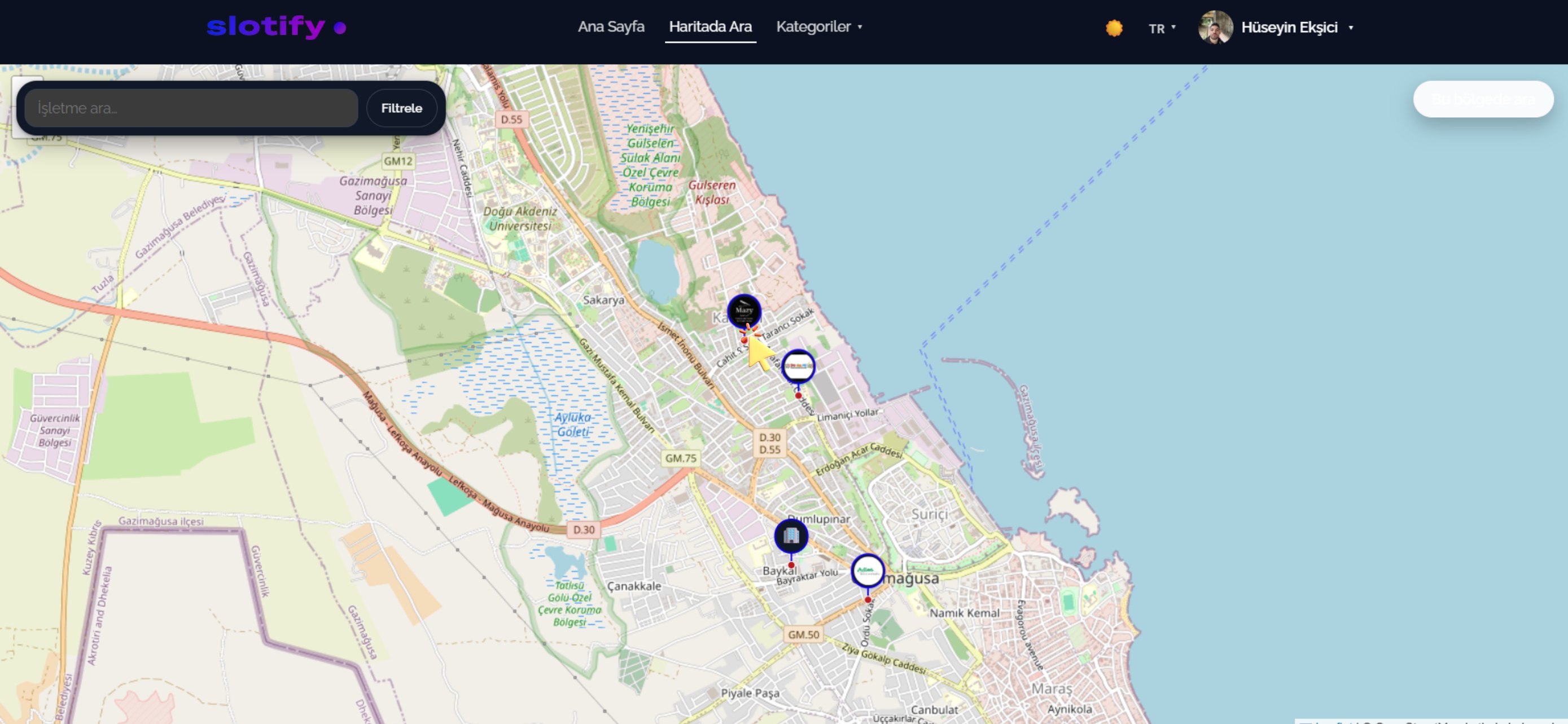 Map with pins