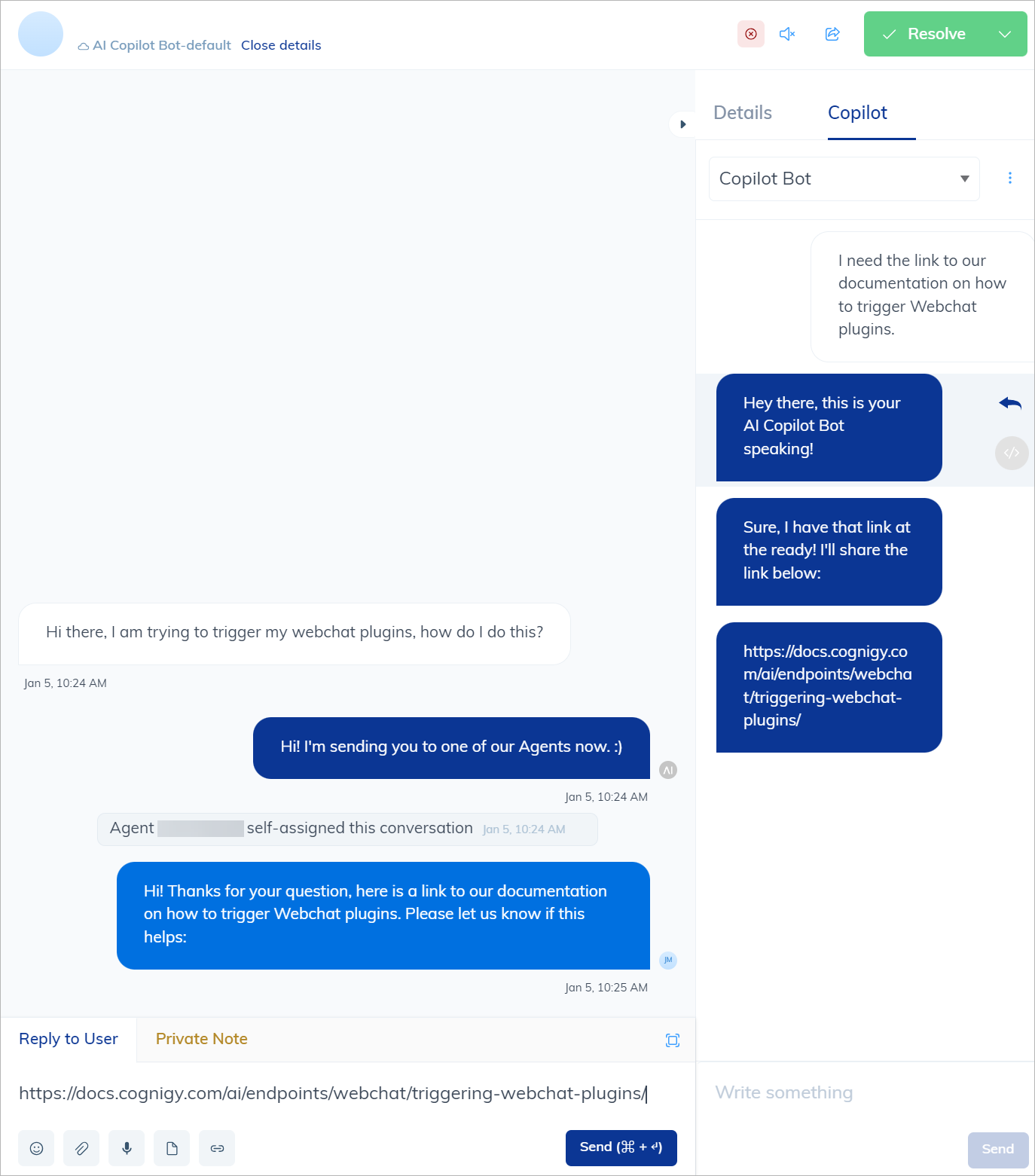 Live Agent Agent Copilot Bot Overview