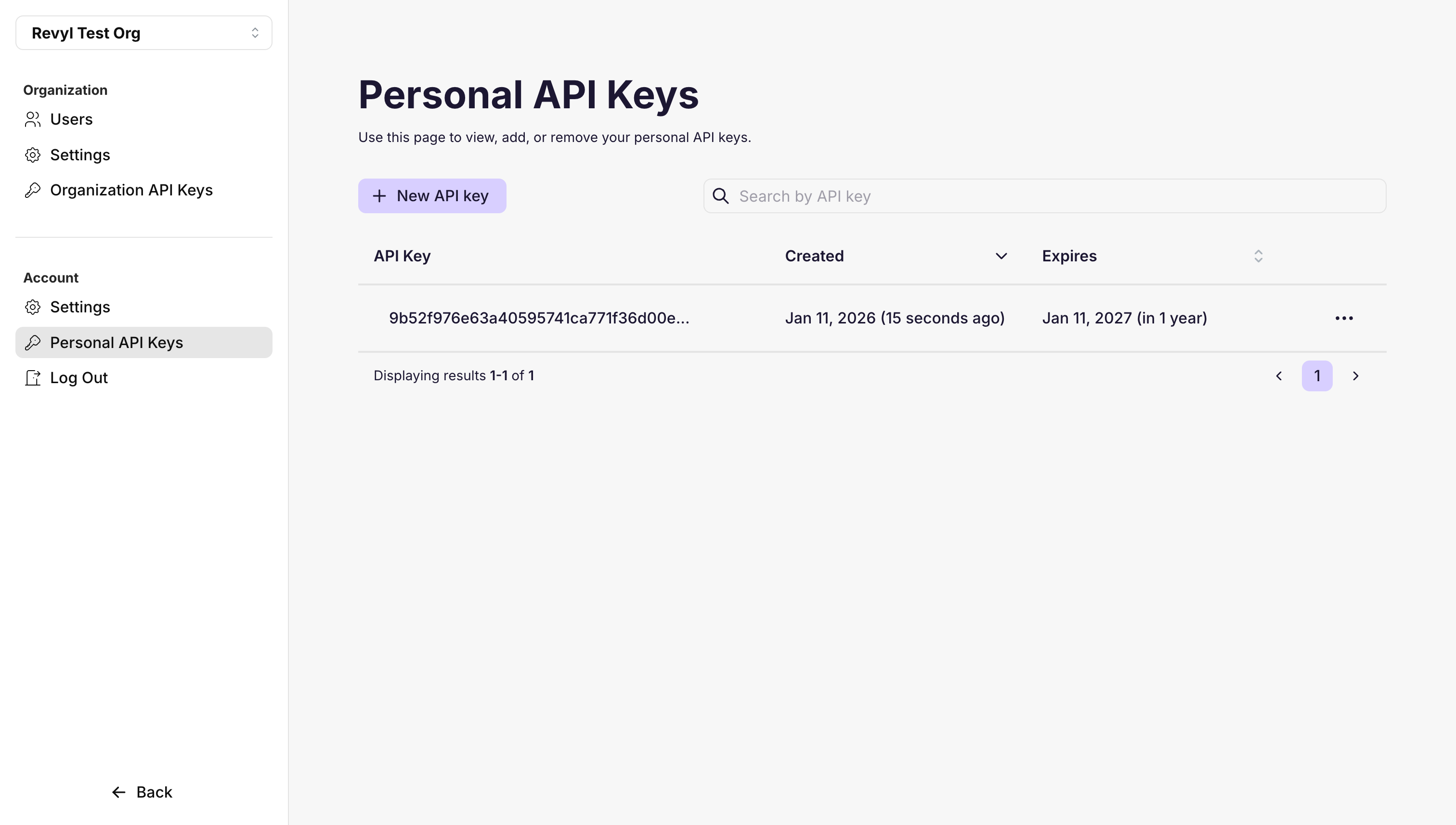 API Keys list with created key