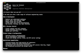 Devin CLI overview