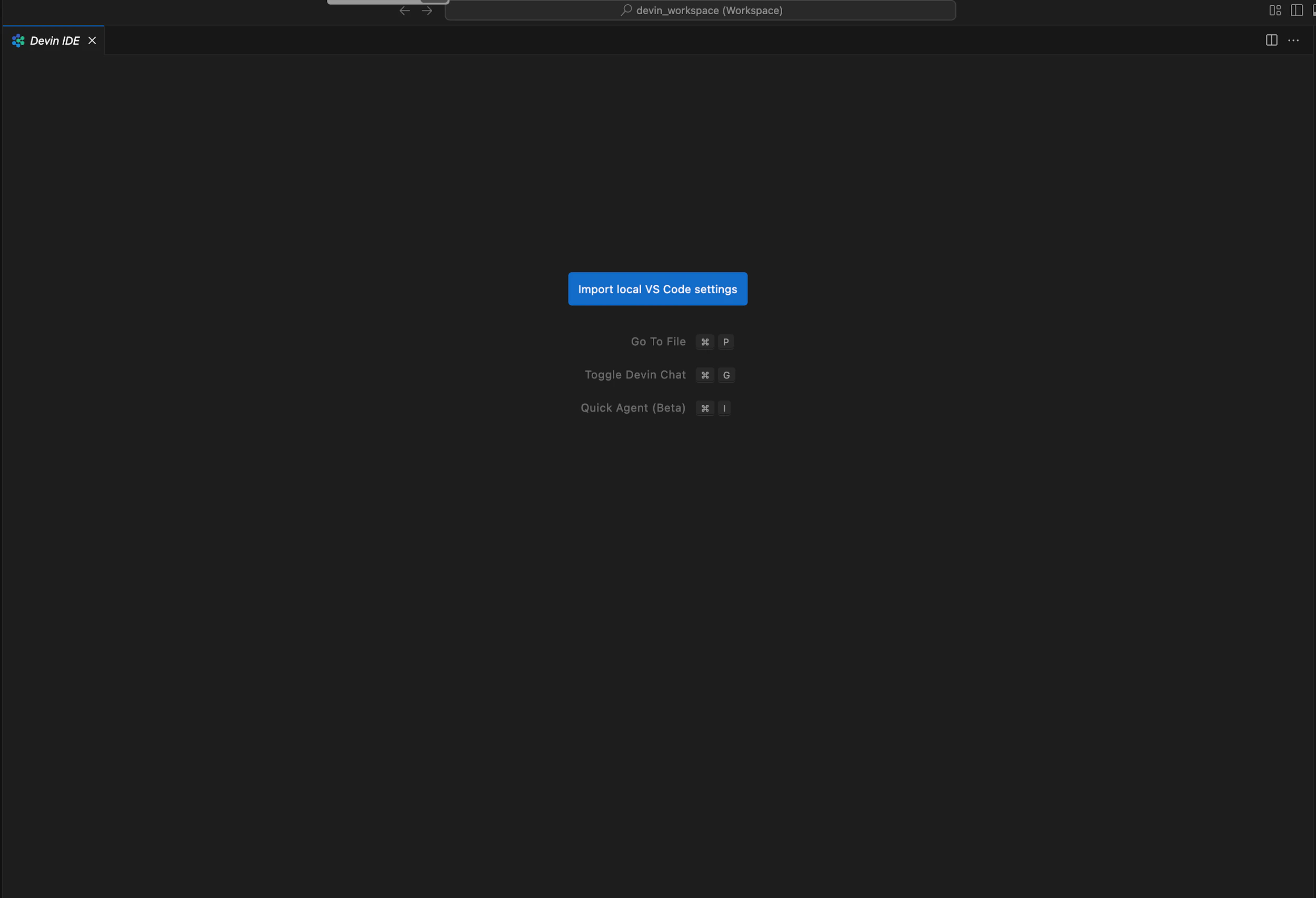 Importing Code Settings - Devin Docs