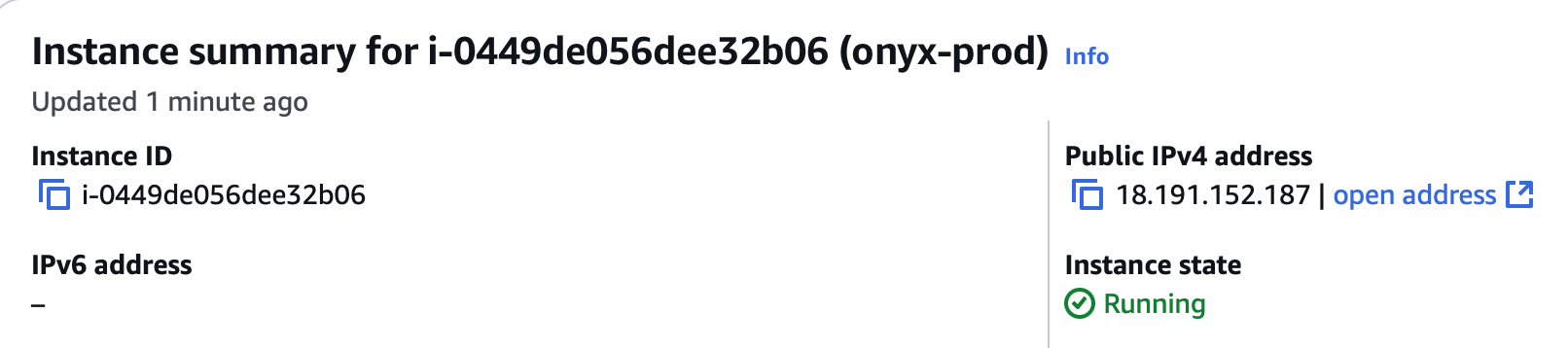 EC2 Public IPv4 Address