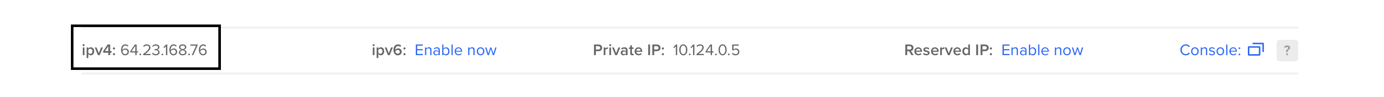 Digital Ocean Public IP Address
