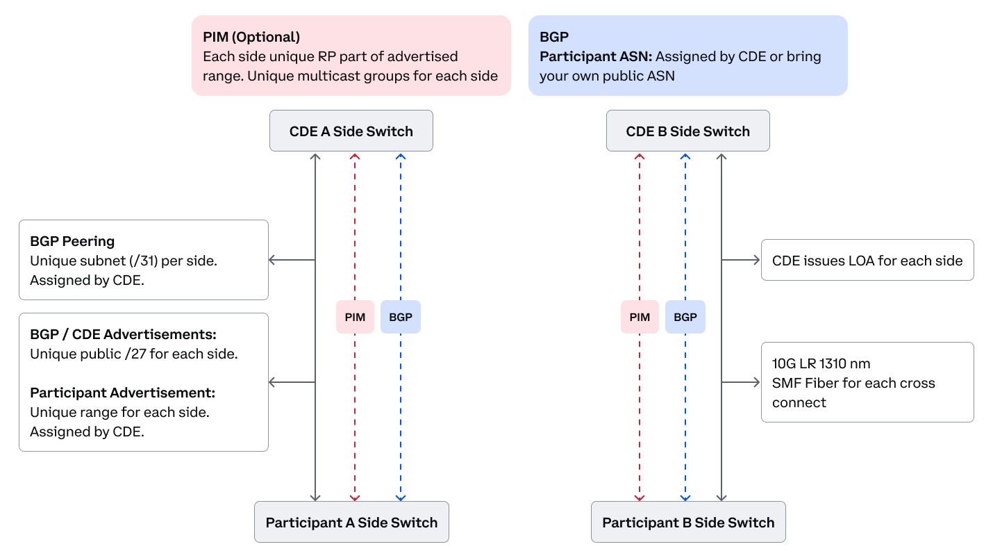 Multicast connection using the BGP routing protocol with PIM