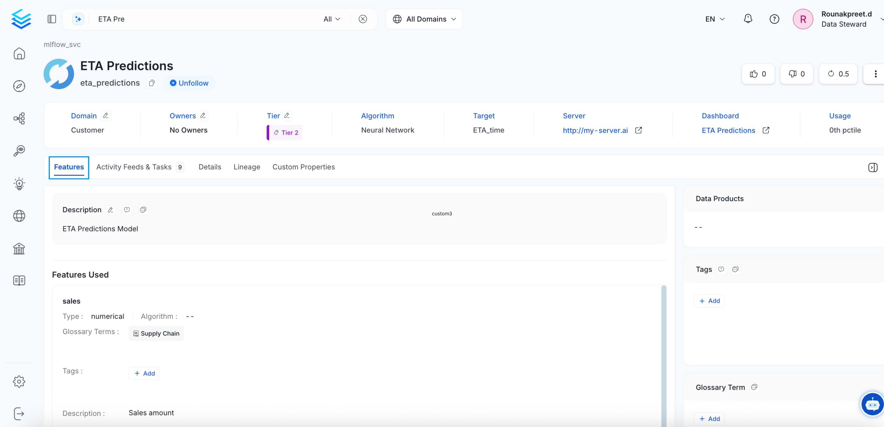 ML Models: Features Tab