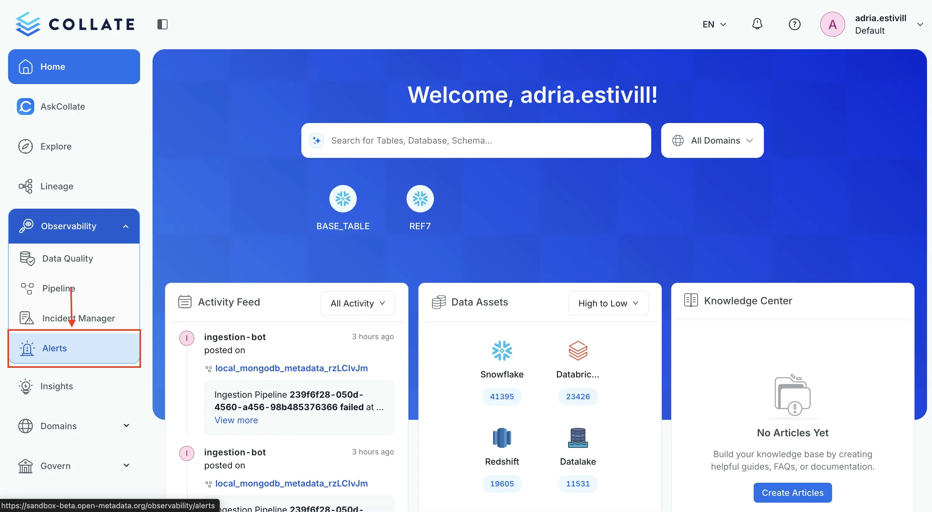 Navigate to Observability Alerts