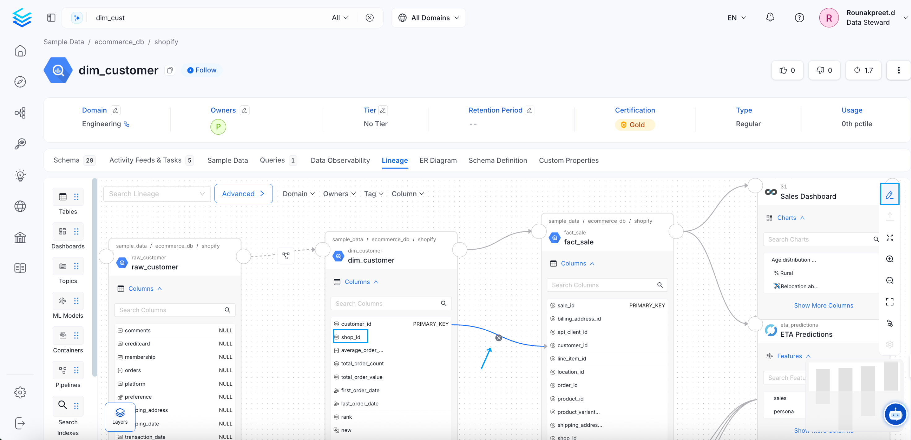 Manually Edit Column Level Lineage
