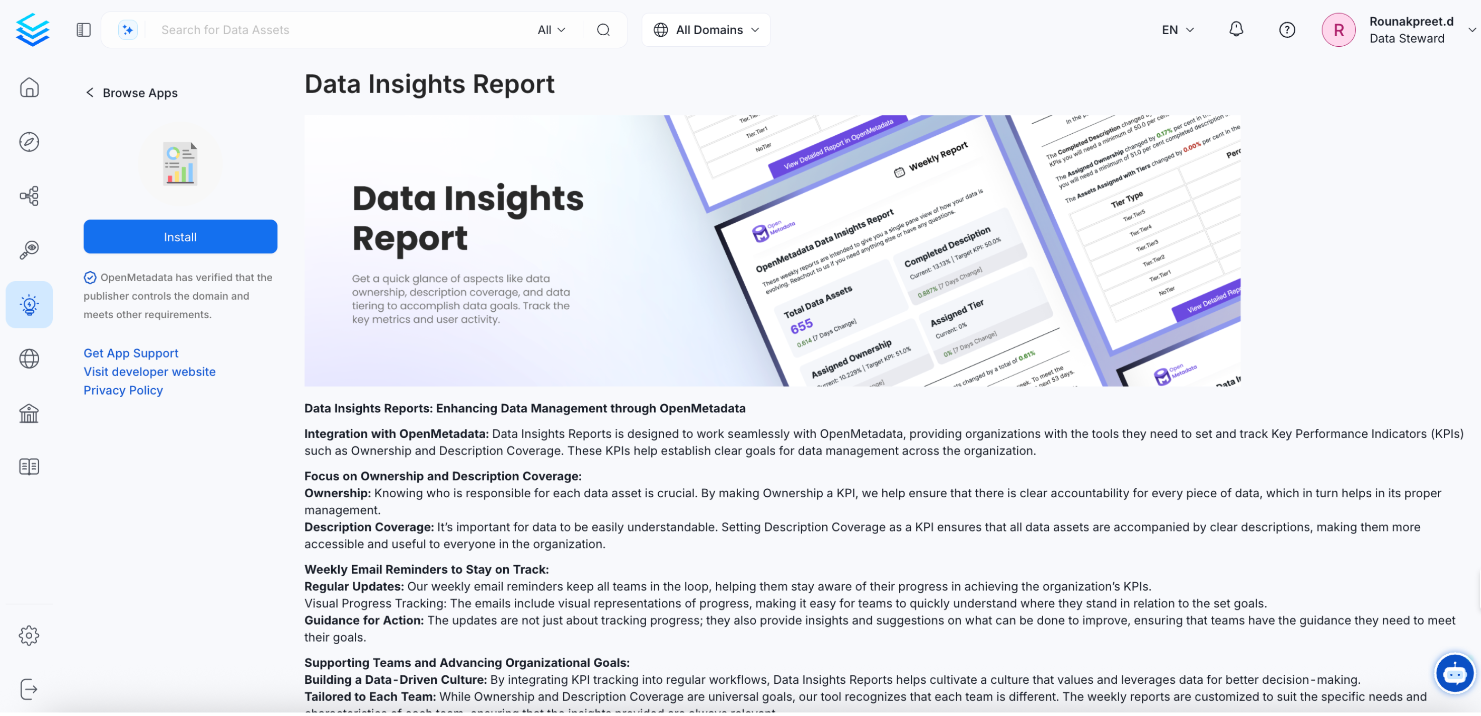 Install the Data Insights Report