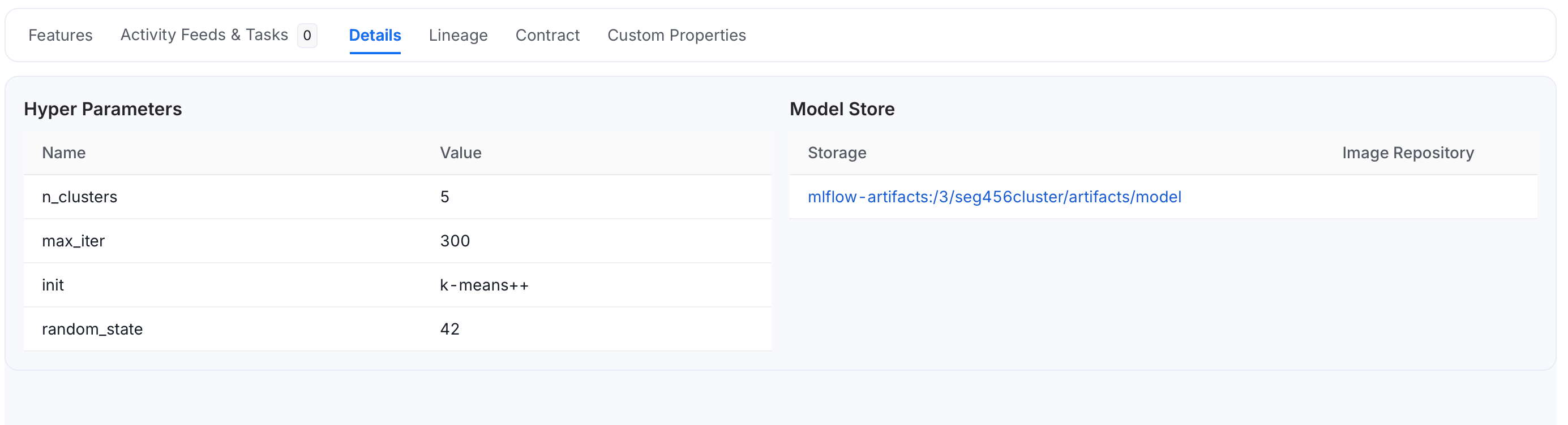 ML Models: Details Tab