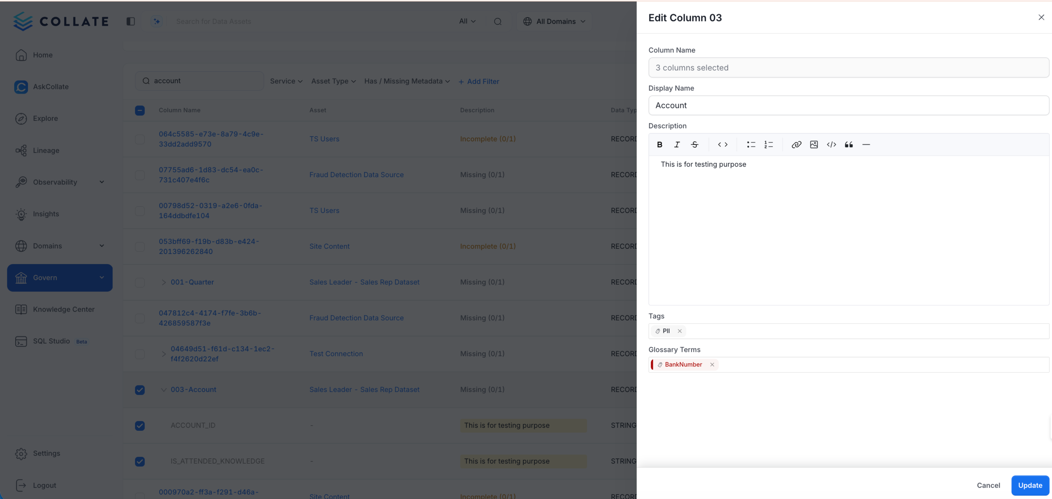 Update Column Metadata
