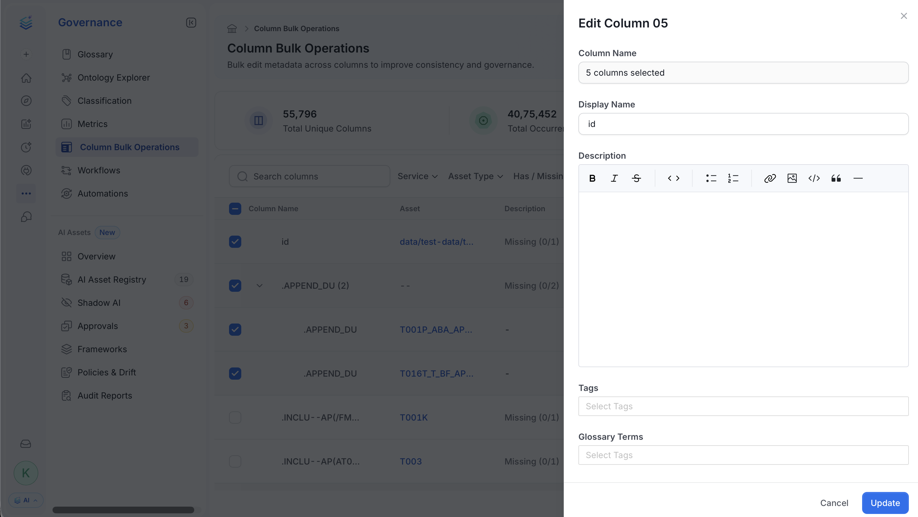 Update Column Metadata