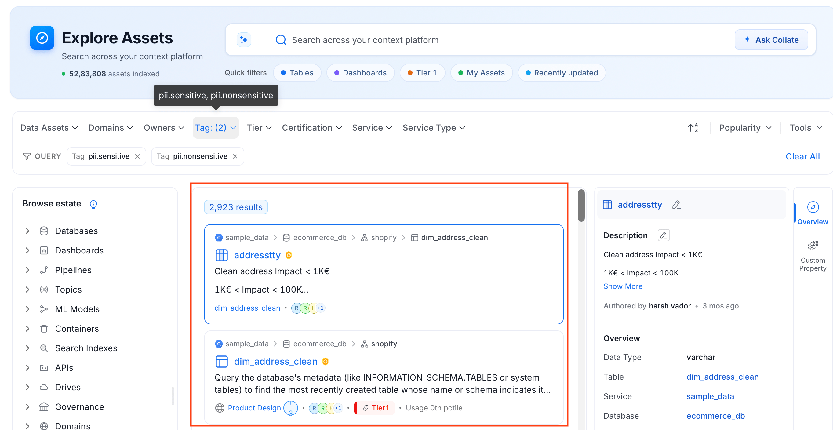 View Tagged Data Assets