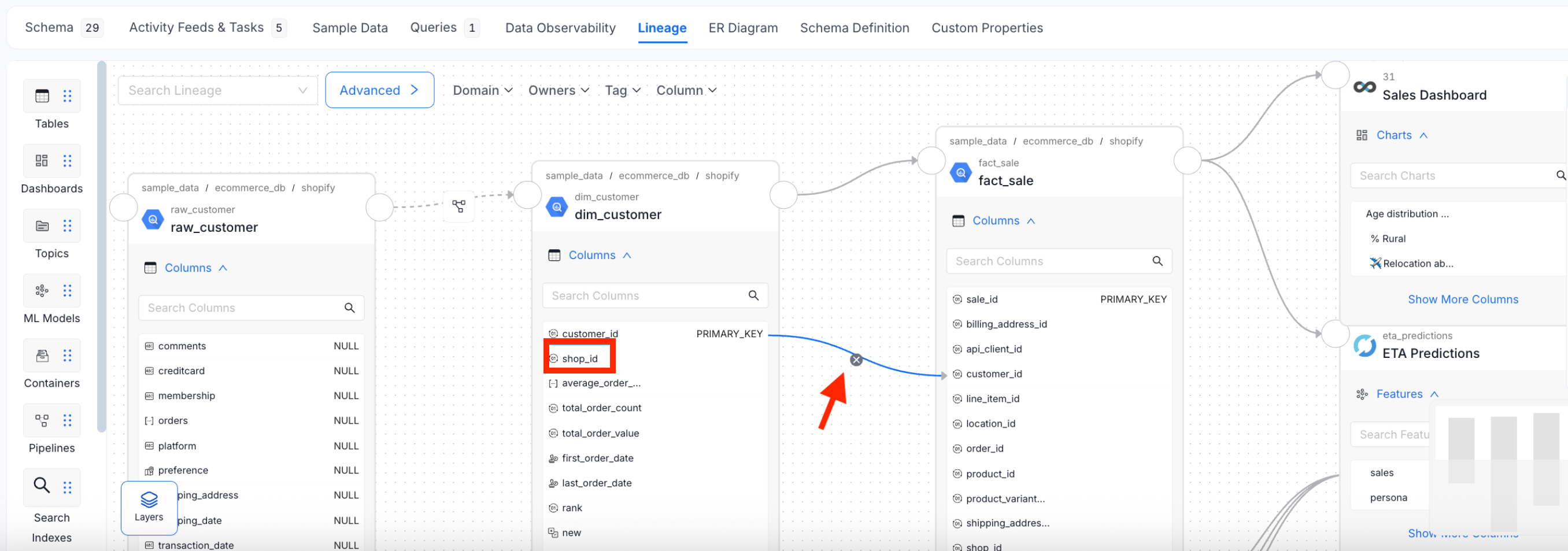 Manually Edit Column Level Lineage