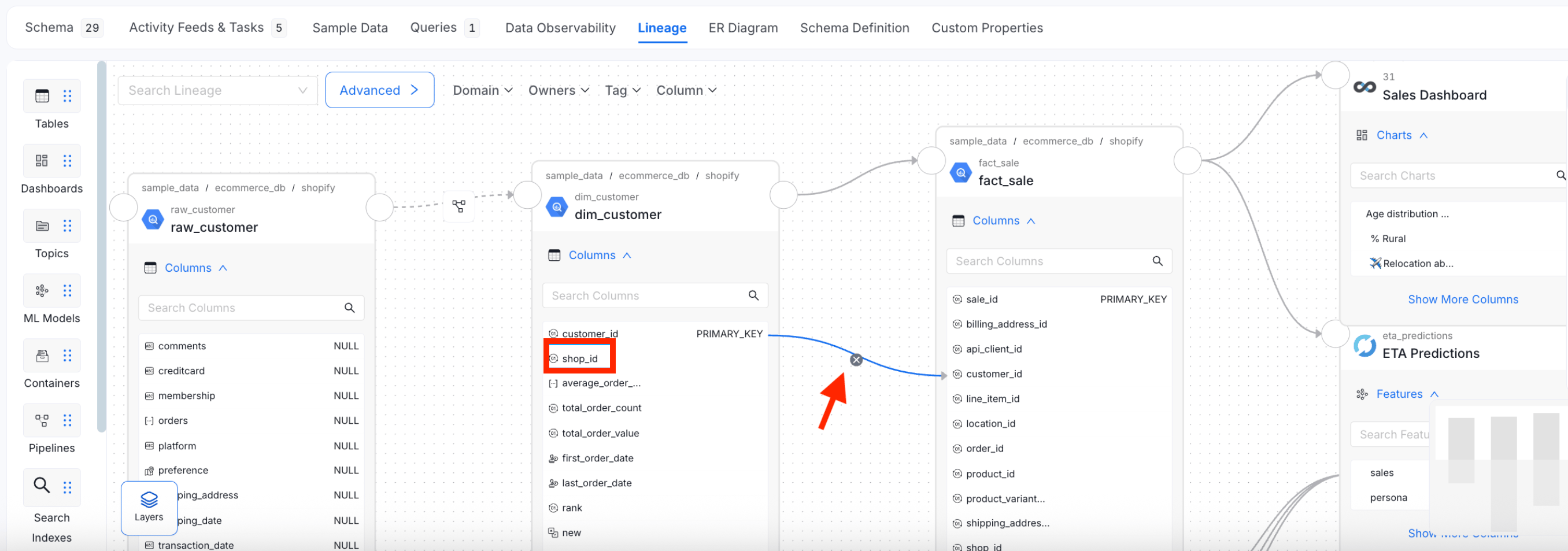 Manually Edit Column Level Lineage