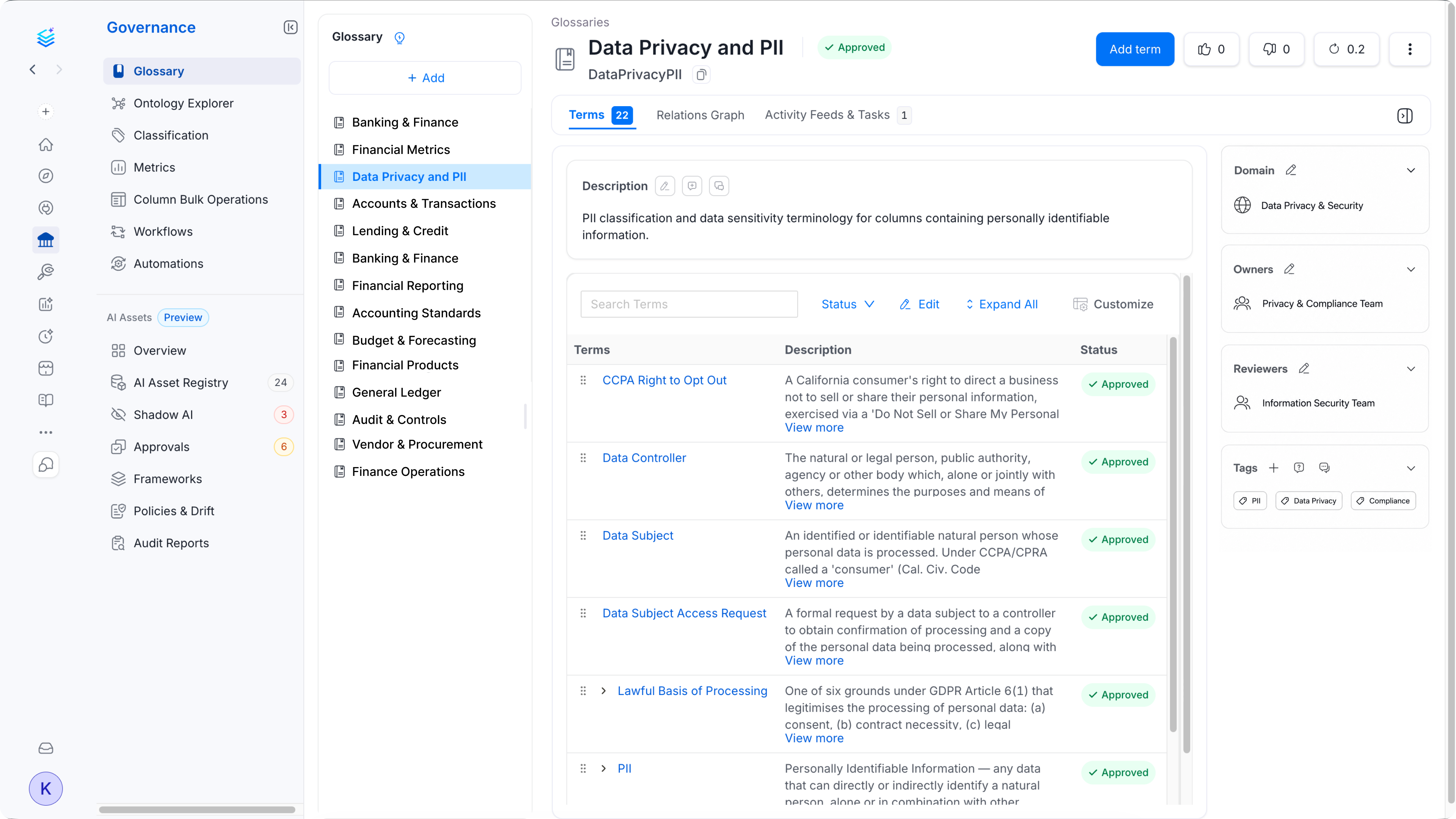 Governance glossary showing Data Privacy and PII terms