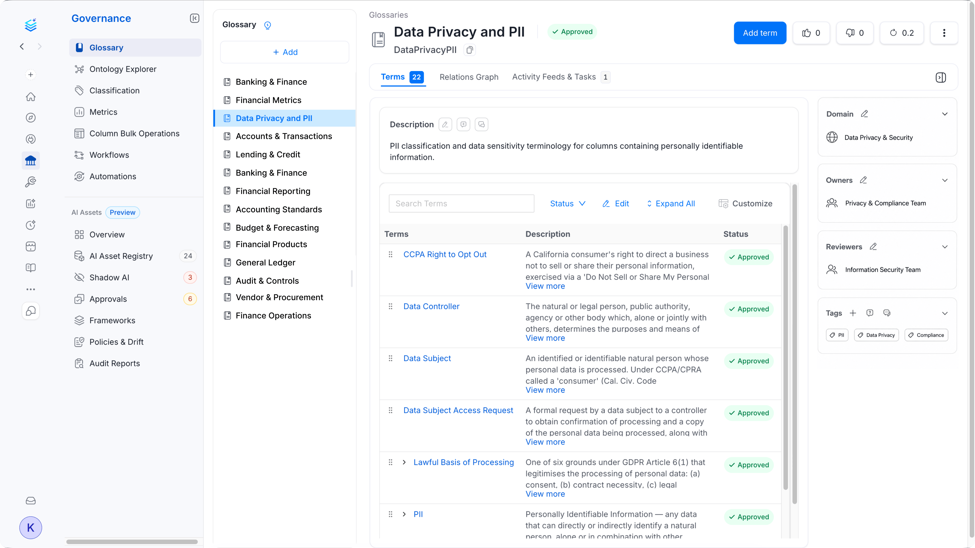 Governance glossary showing Data Privacy and PII terms
