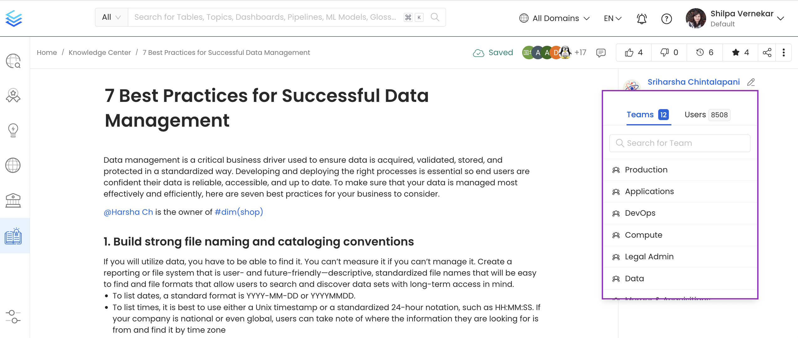 A Team or a User can be the Owner