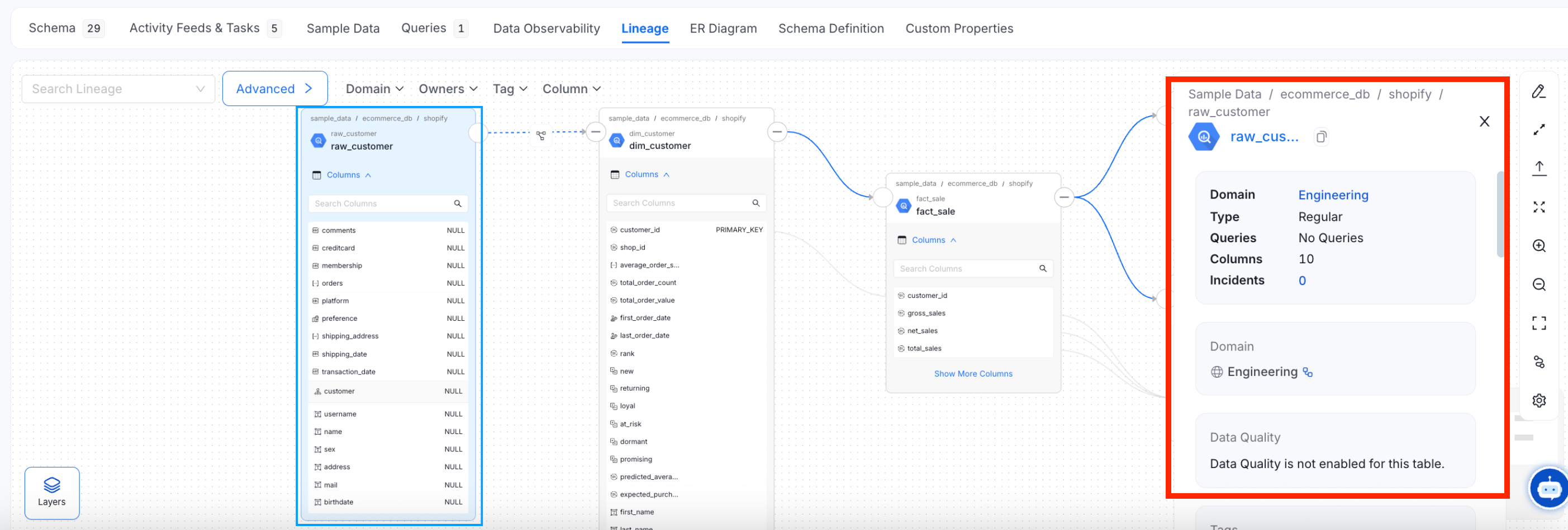 Quick Glance at the Data Asset from Lineage View