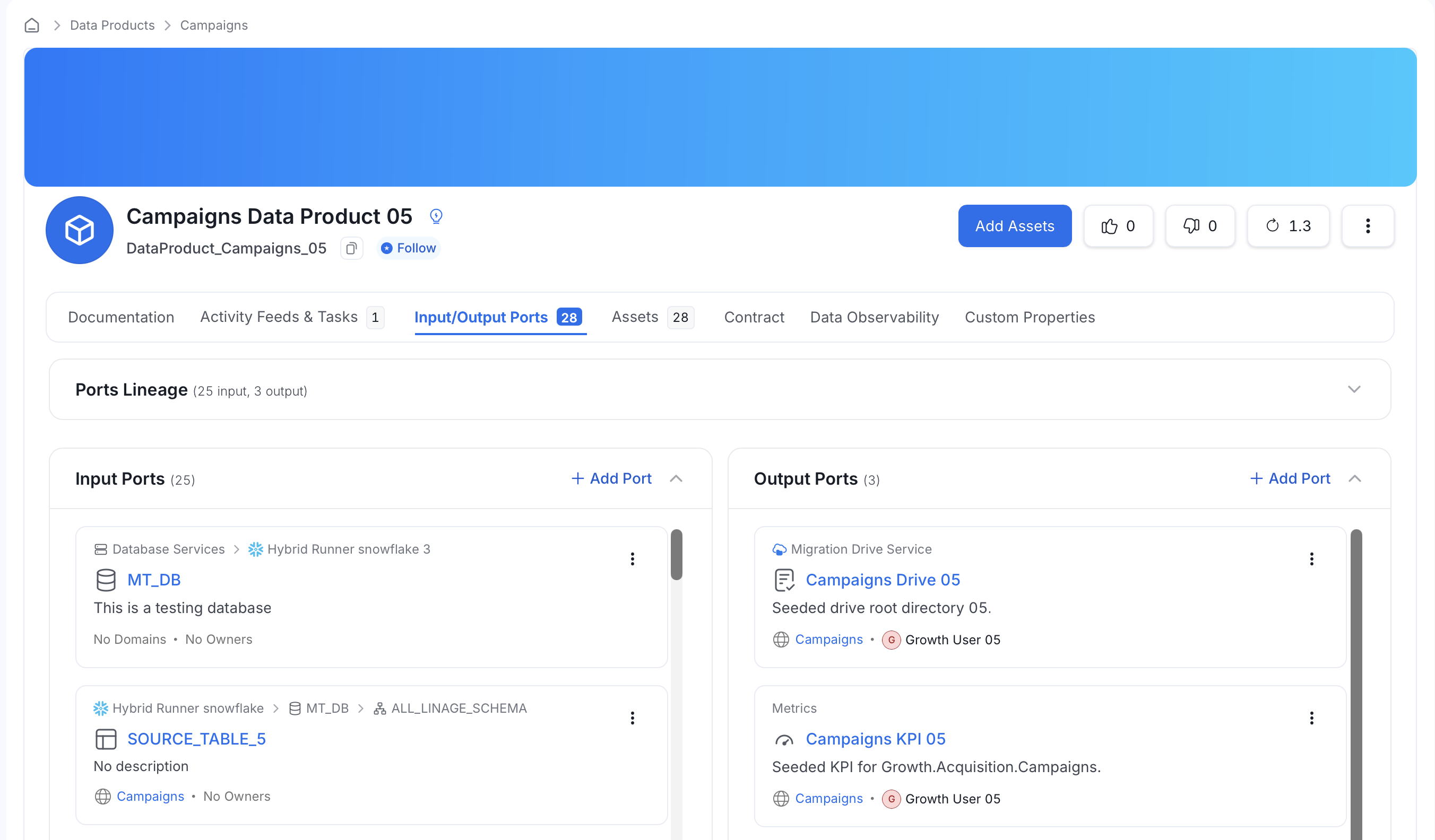 Input/Output Ports tab on a data product