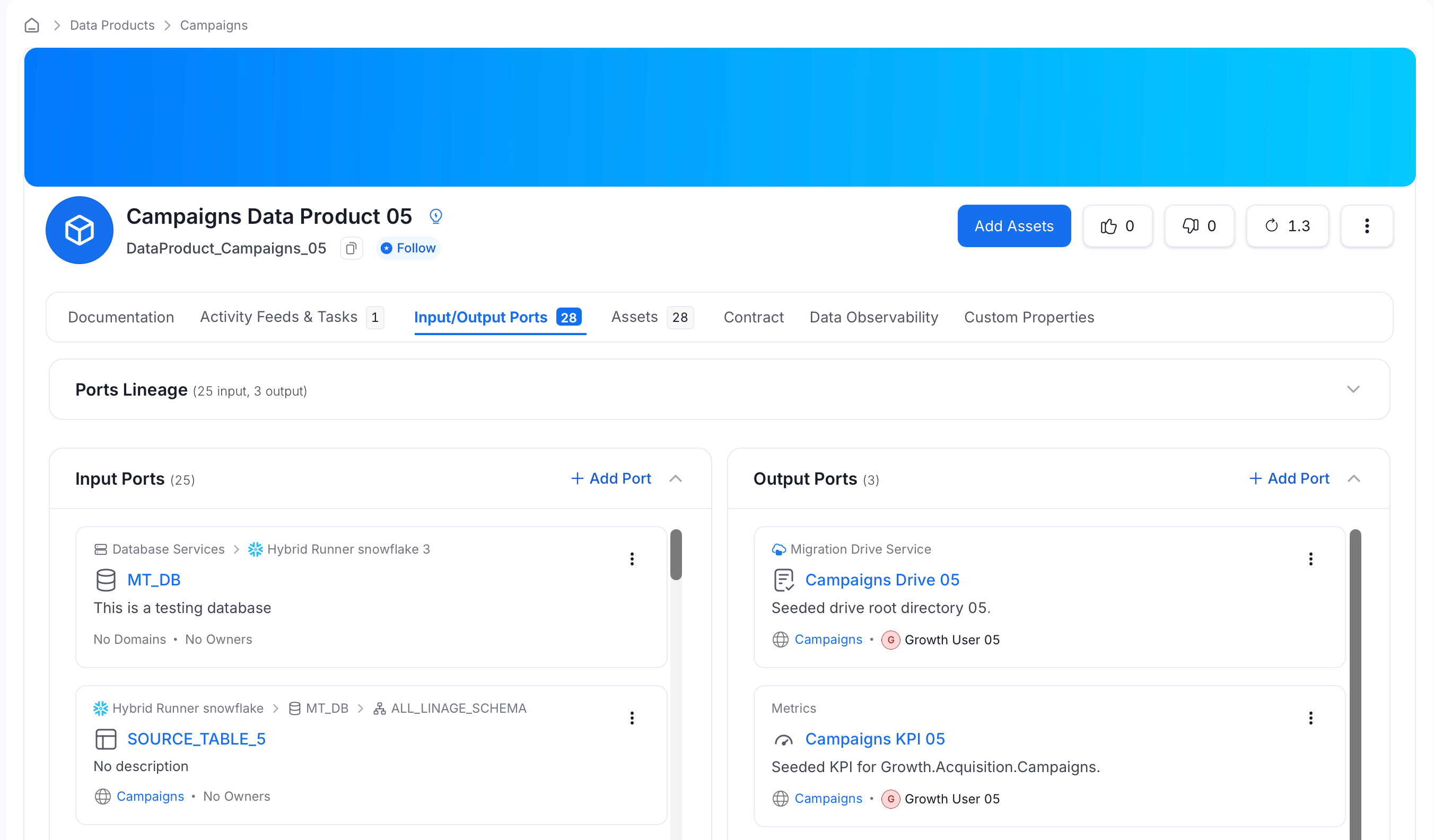 Input/Output Ports tab on a data product