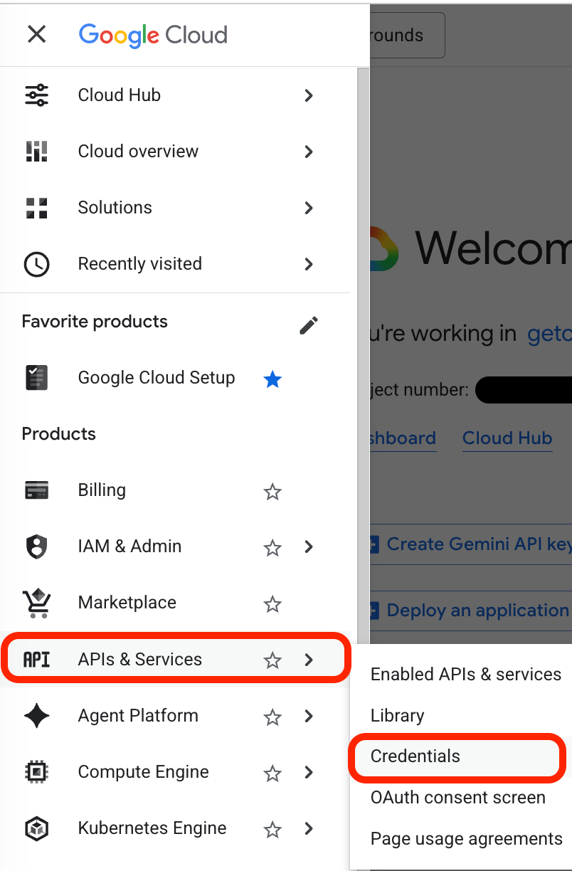 Navigate to credentials for the Gemini API service in Google Cloud