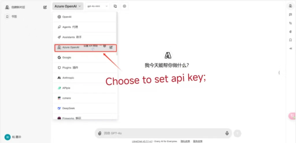 LibreChat ayarları — OpenAI URL ve key alanları