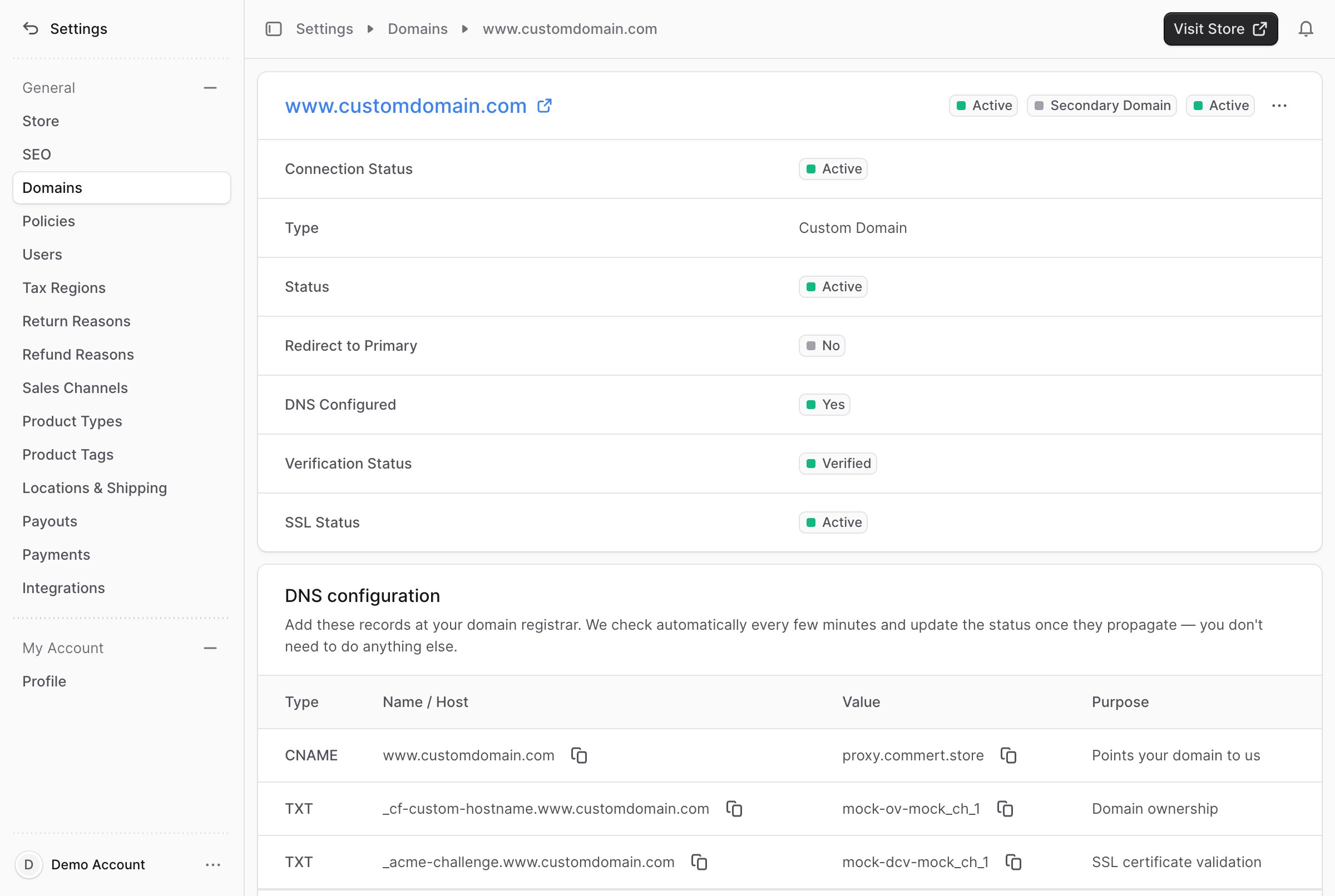 Domain details with DNS configuration