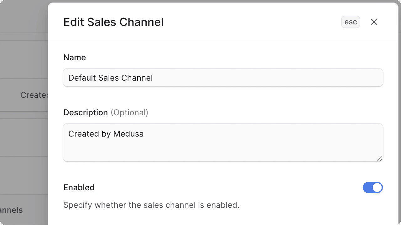 Edit sales channel form