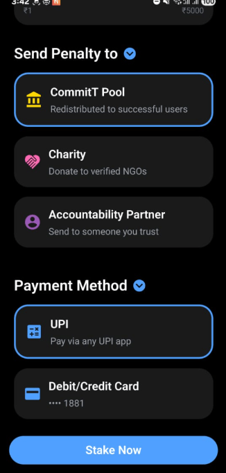 Payment UI Details