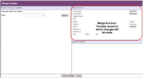 Merge Provider screen showing the Merge Survivor record