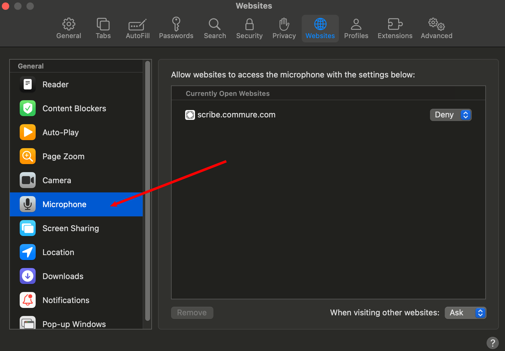 Microphone settings