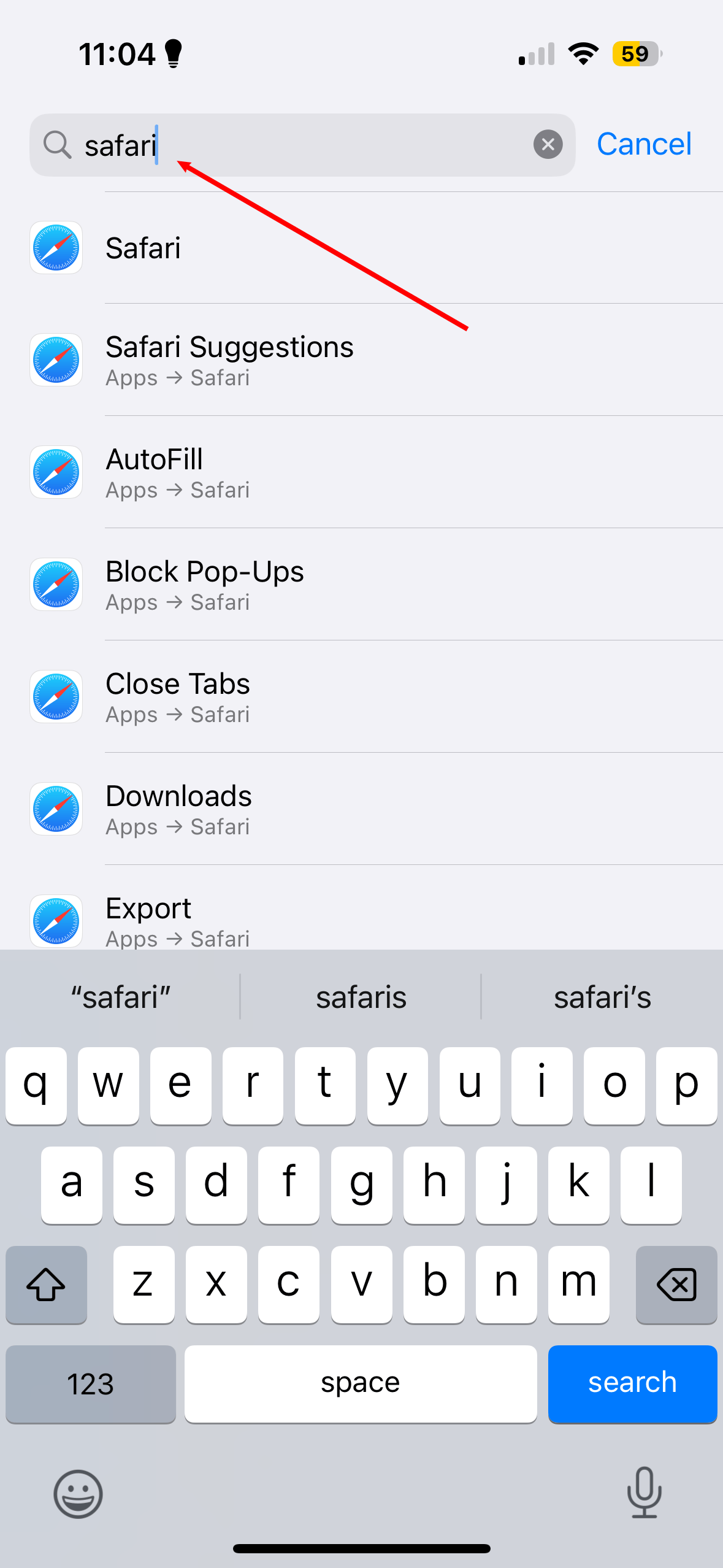 Search Safari